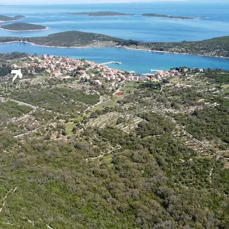 Dilnica *